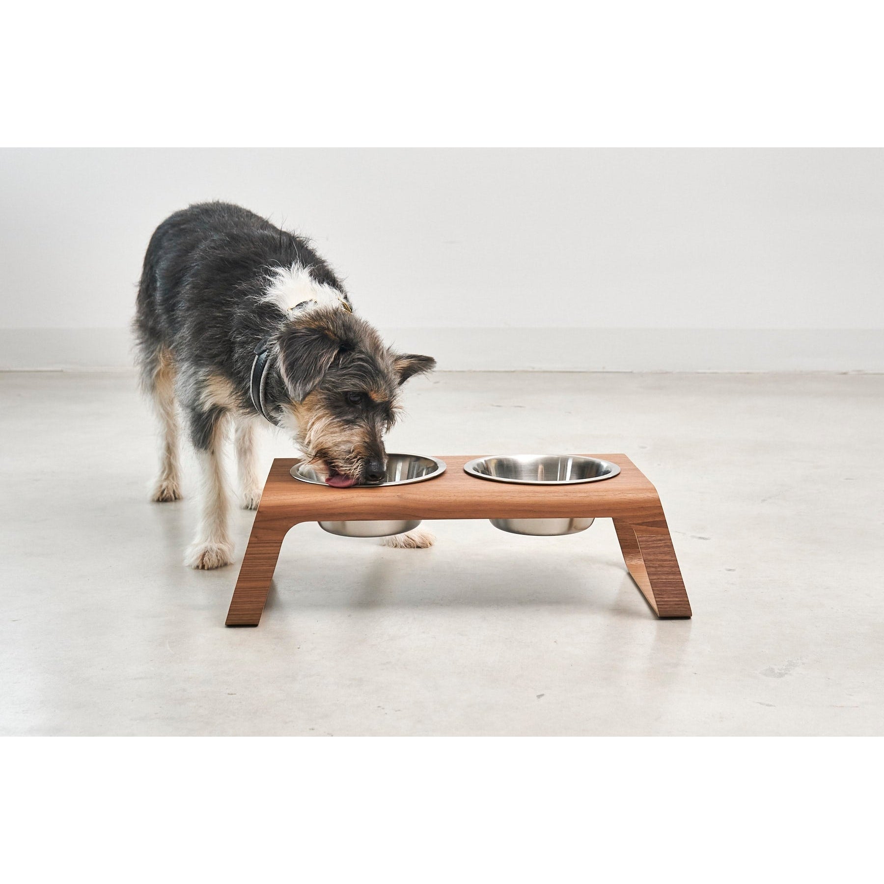 MiaCara Desco Elevated Dog Feeder - Stainless Steel - Image 21