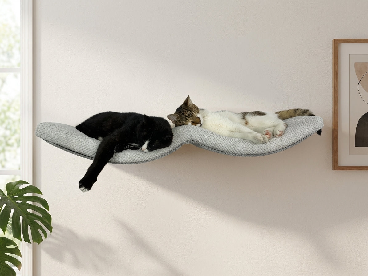 Two cats relaxing on curved grey fabric cat wall shelf with arch design, mounted on white wall with plants