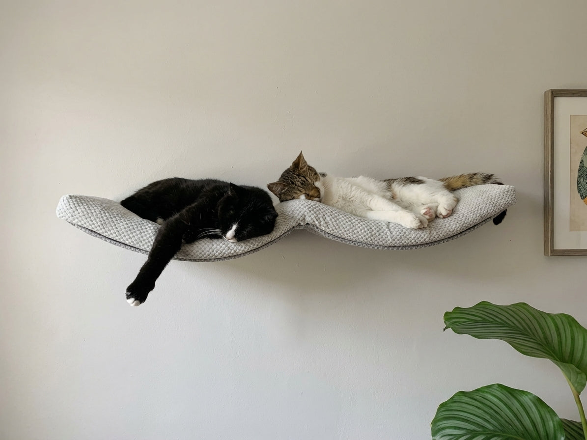 Two cats sleeping on curved wall-mounted cat shelf with grey cushioning, modern double arch design pet furniture