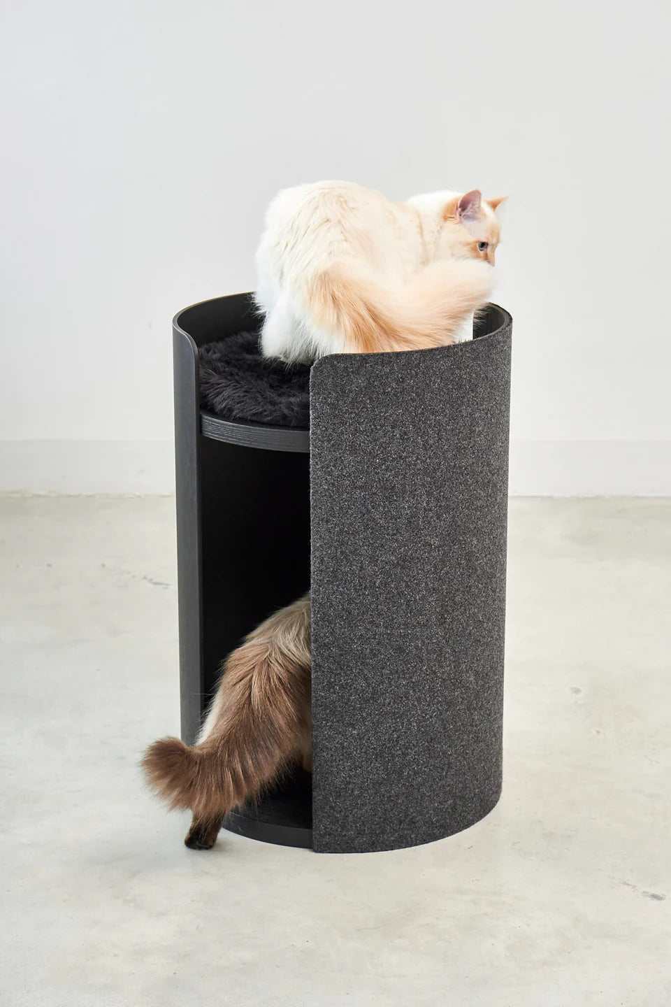A cream and grey cat resting in a black MiaCara Torre cat scratching post with a dark felt scratching panel.