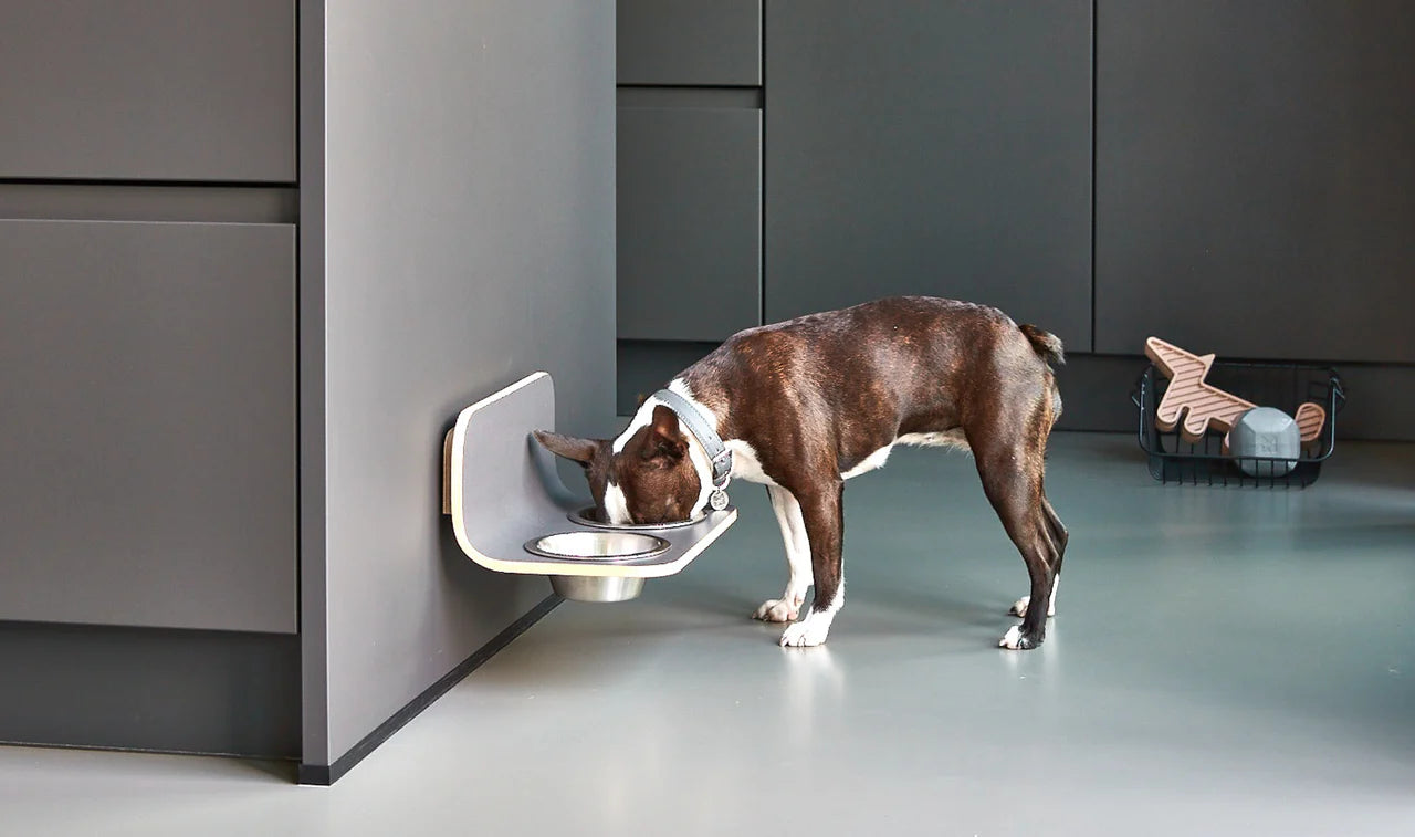 Dog eating from MiaCara Arco wall-mounted feeder in a luxury kitchen