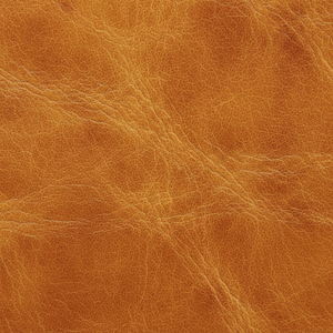 Leather Belt - Sedgwick Leather - Image 10