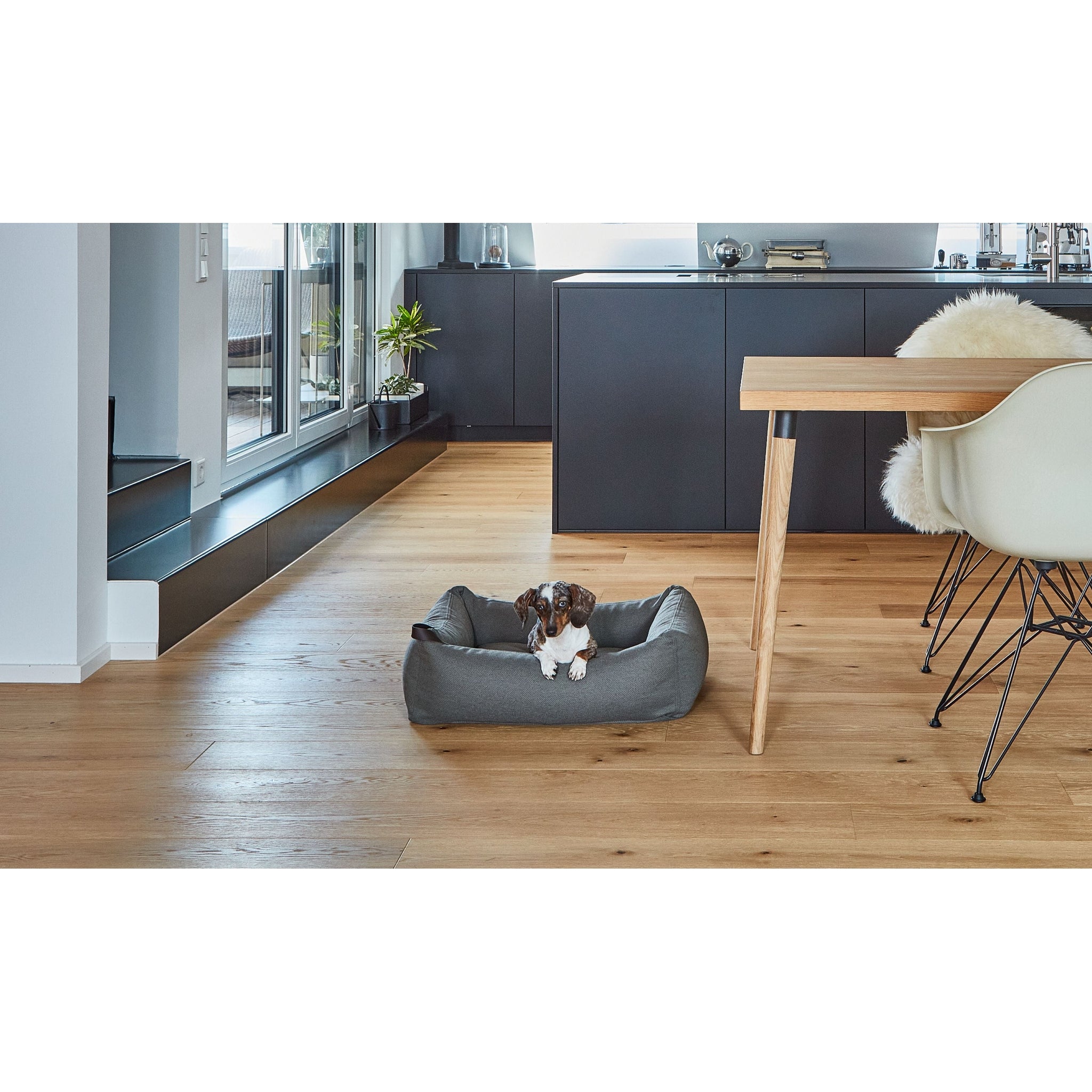 MiaCara Mare designer dog bed in charcoal grey fabric in minimalist modern kitchen with wooden floors
