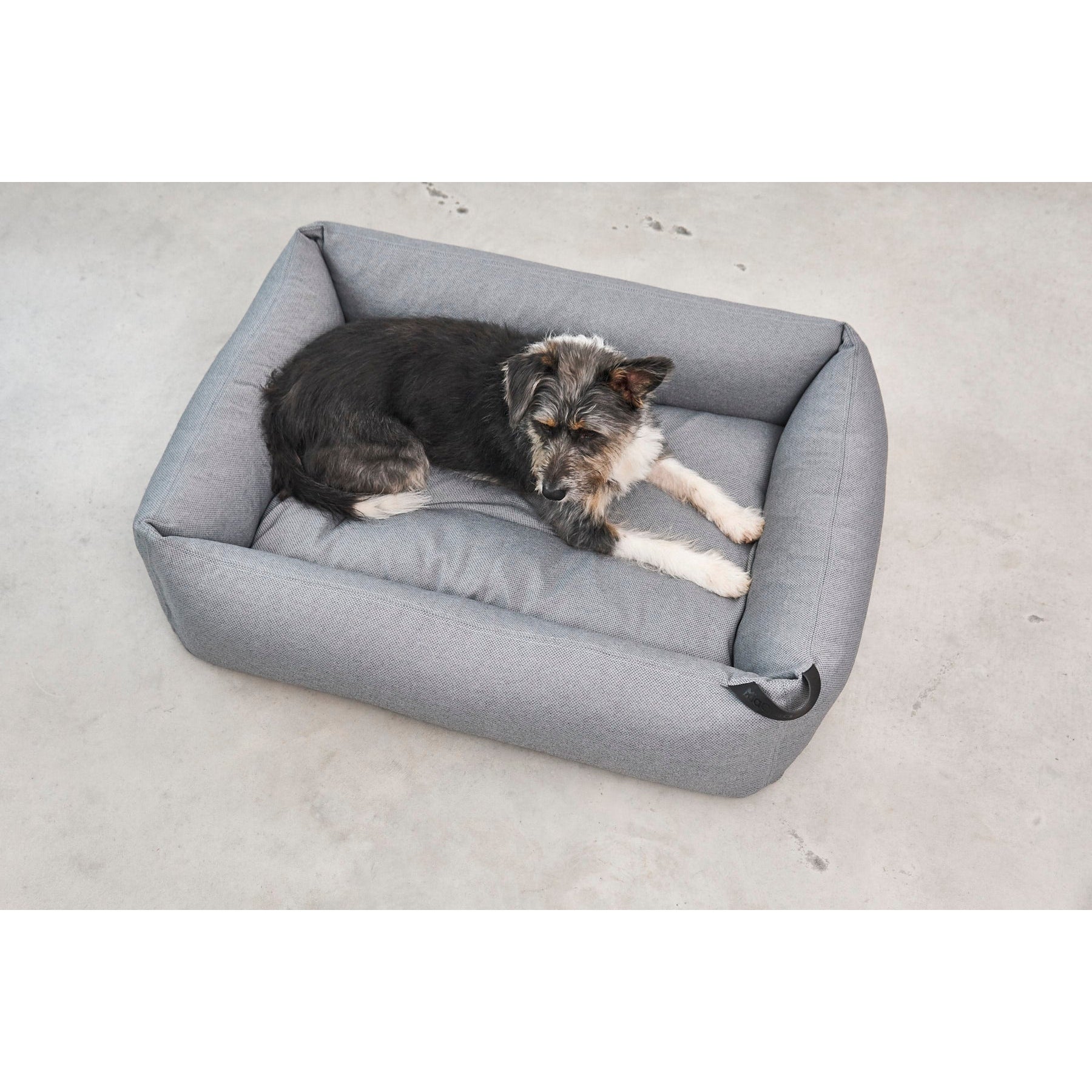 Small Yorkshire Terrier relaxing in grey MiaCara Mare designer dog bed with minimalist German design on concrete floor