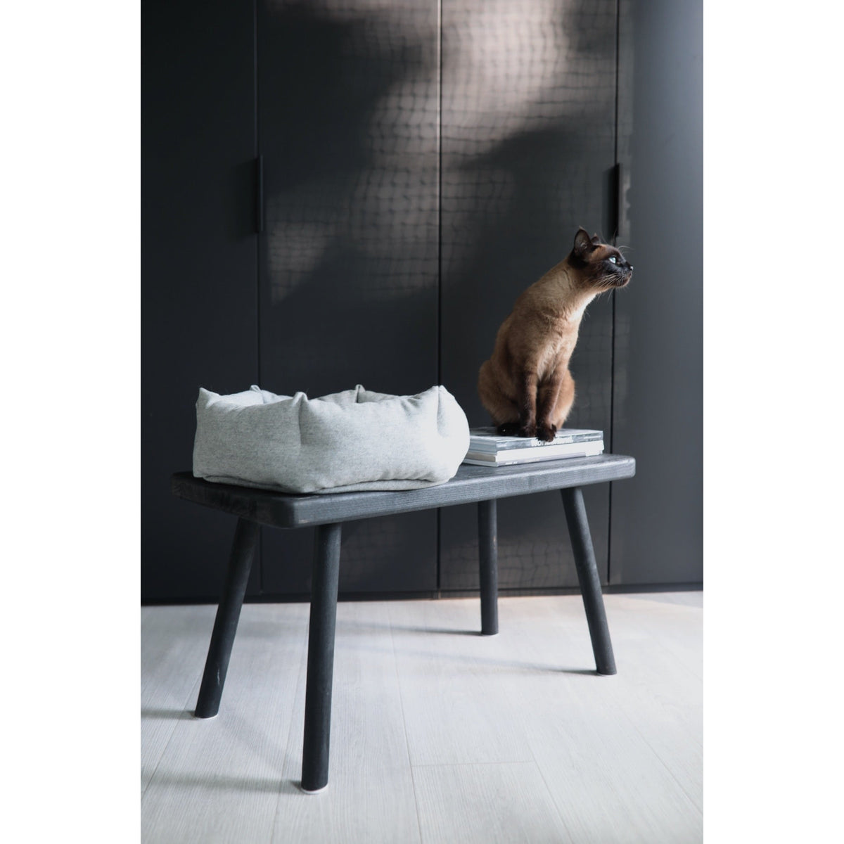 Seal-point cat perched on a stack of books beside the light grey MiaCara Calma cat bed on a black bench