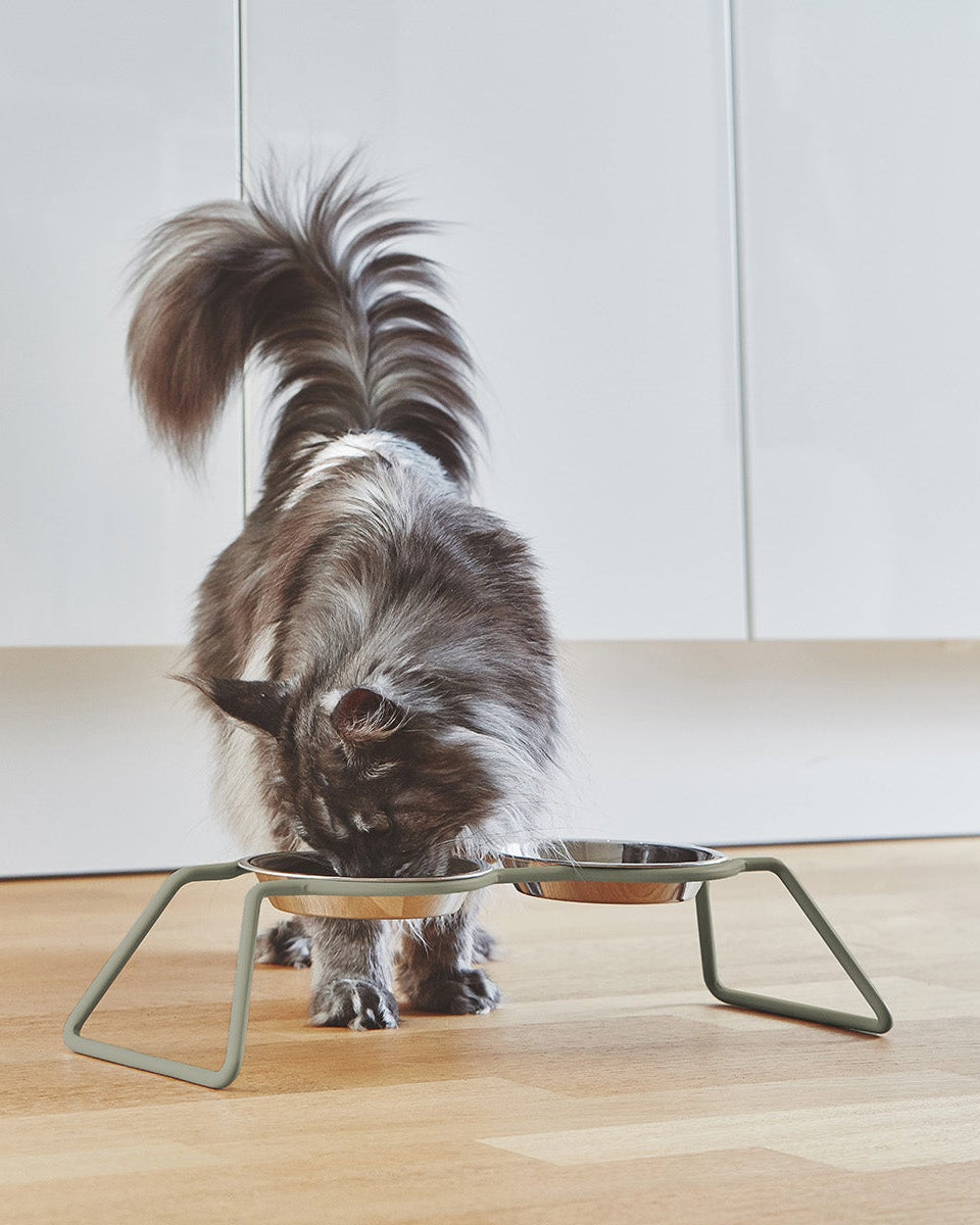 MiaCara Cena elevated cat feeder in Grolive with stainless steel bowls, a long-haired cat eating from it