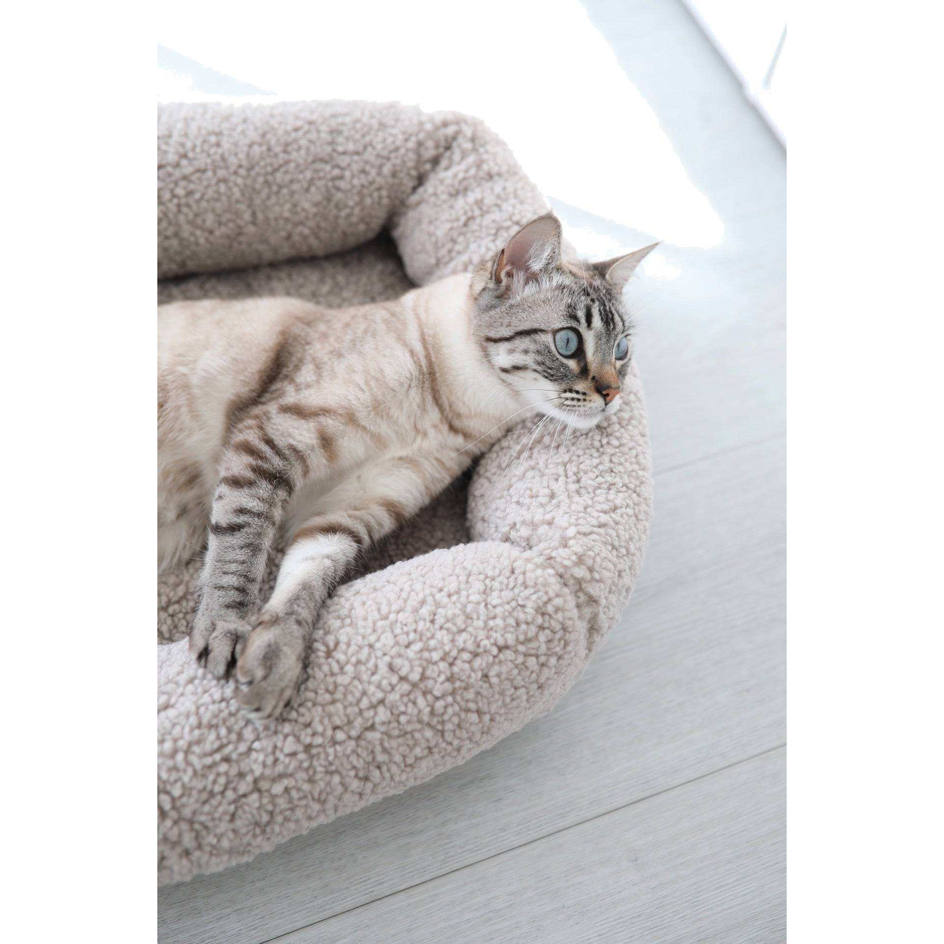 Grey tabby cat relaxing in beige MiaCara Senso designer cat bed with minimalist German design and sustainable materials