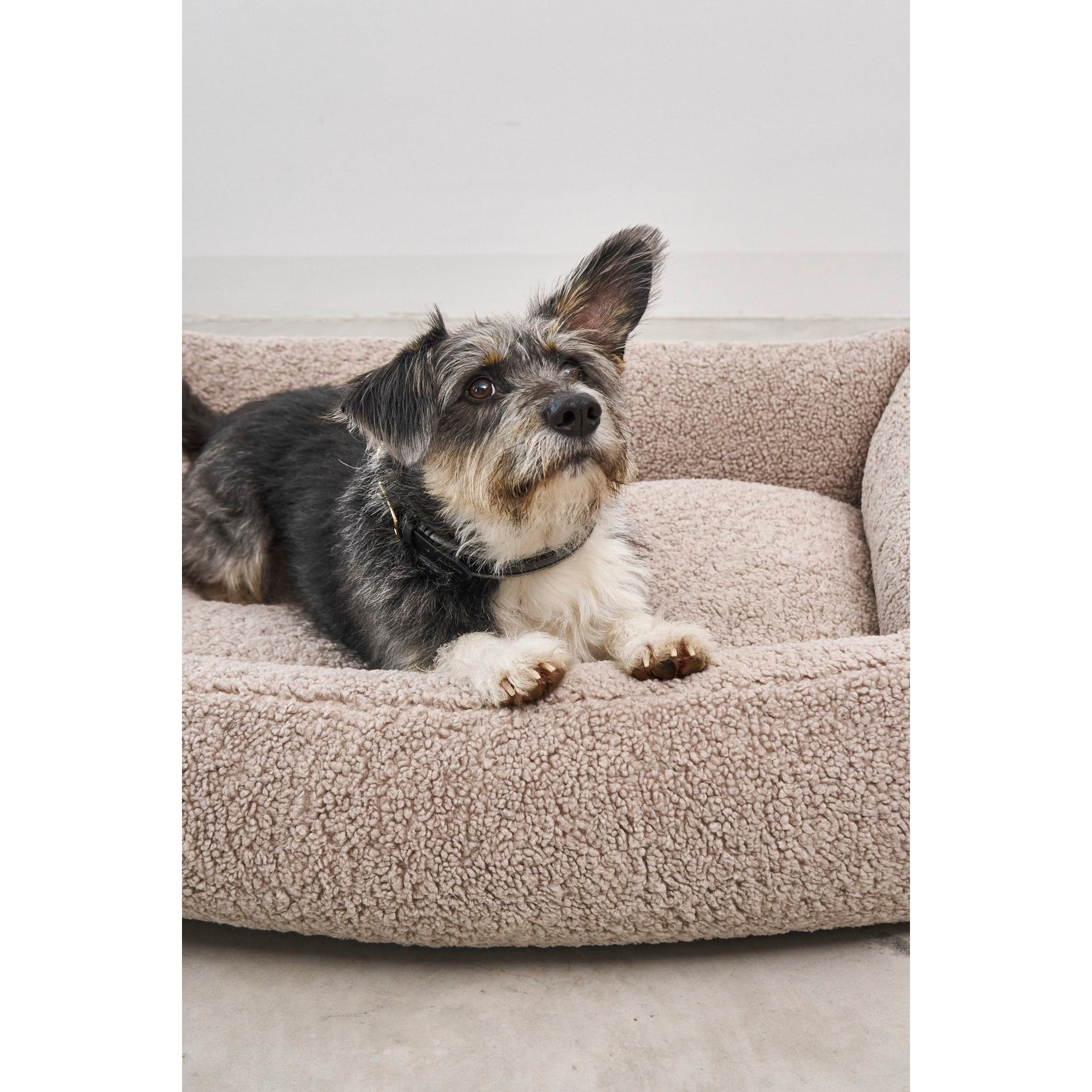 MiaCara Senso designer dog bed cover detail view - German minimalist design