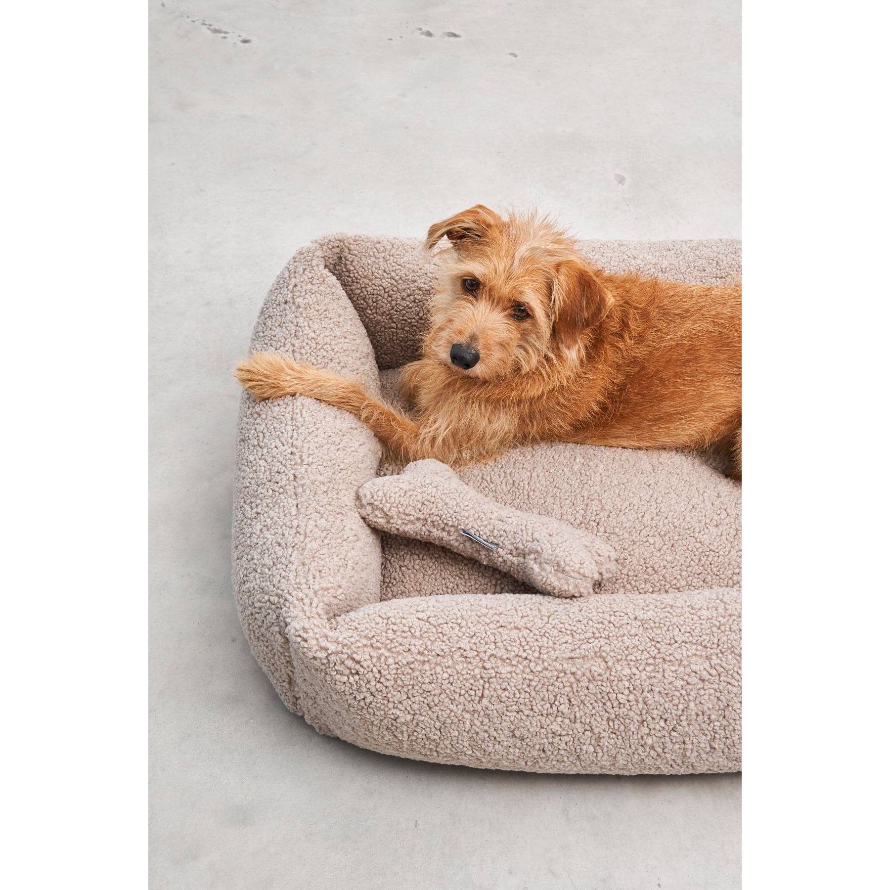 Small dog relaxing in MiaCara Senso designer pet bed with sustainable beige sherpa fabric and minimalist design