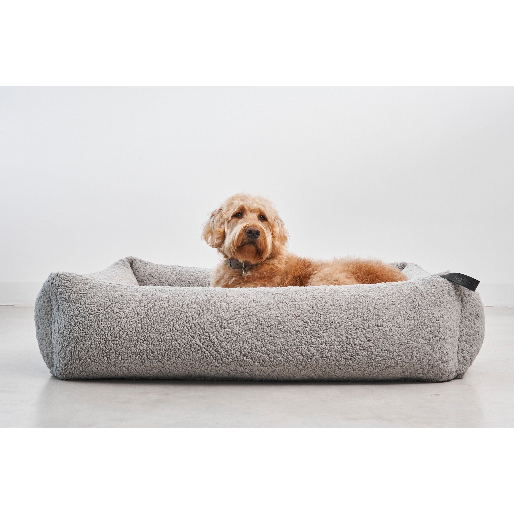 Contemporary grey designer dog bed with golden retriever, showcasing minimalist German pet furniture design