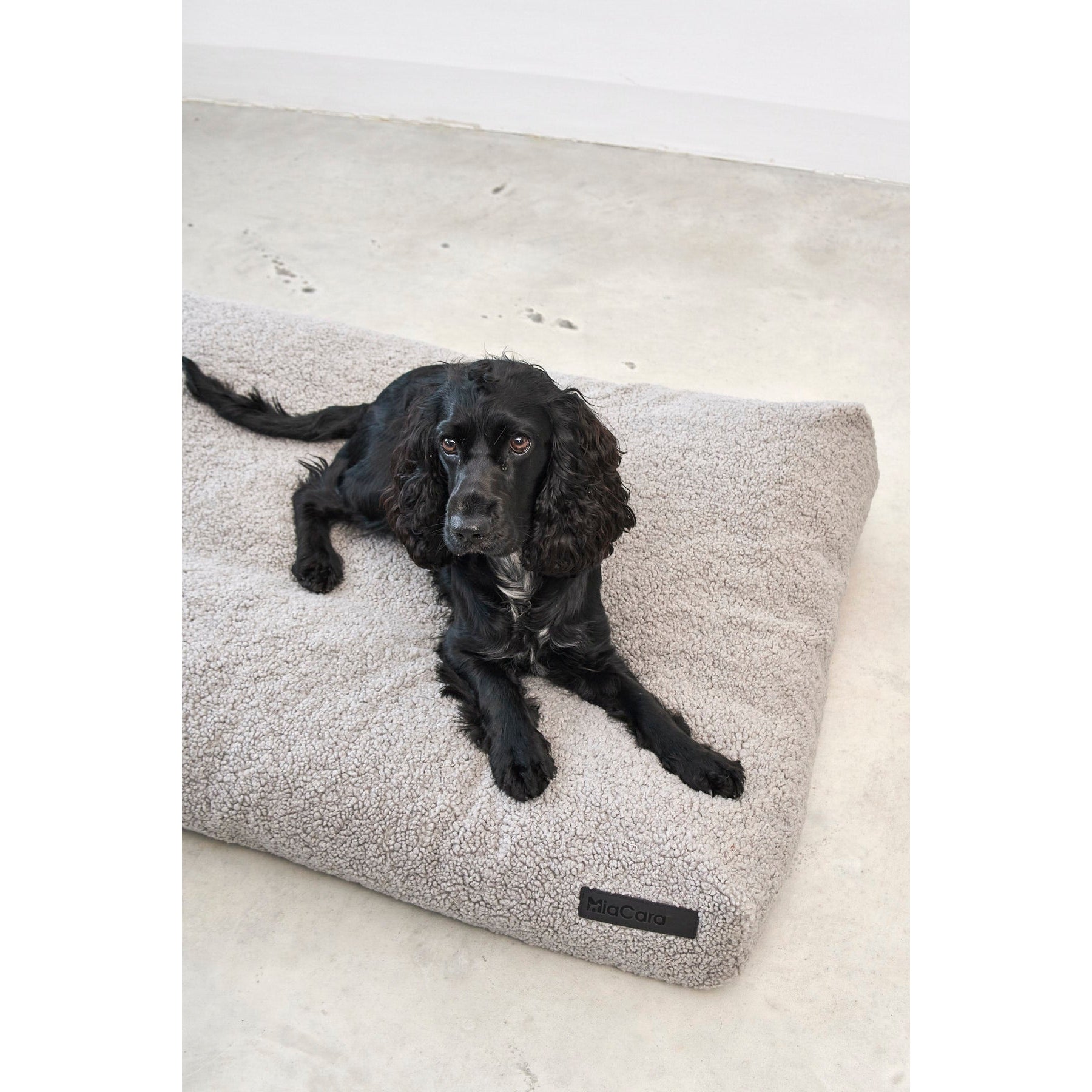 Black dog lying on MiaCara Senso Cushion Pebble designer pet bed with minimalist German design and sustainable materials