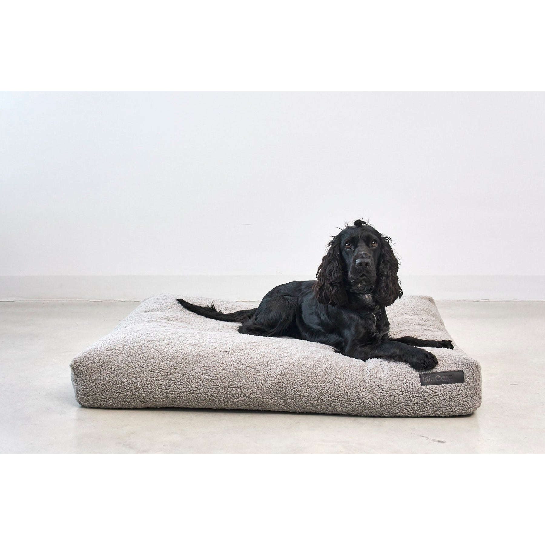 Black spaniel lying on minimalist grey MiaCara Senso Cushion Pebble designer dog bed in contemporary setting