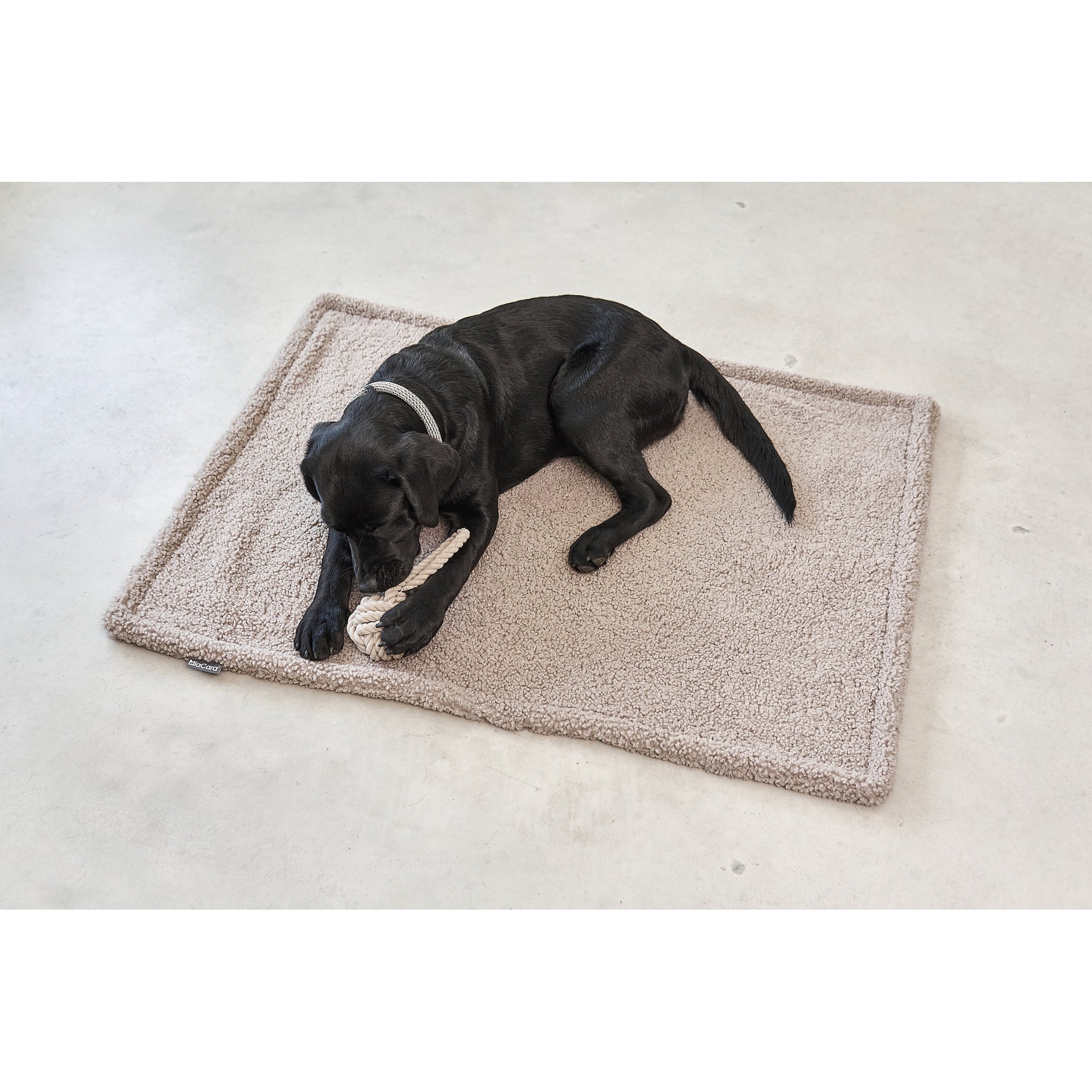 MiaCara Senso Dog Designer Blanket - Lifestyle image