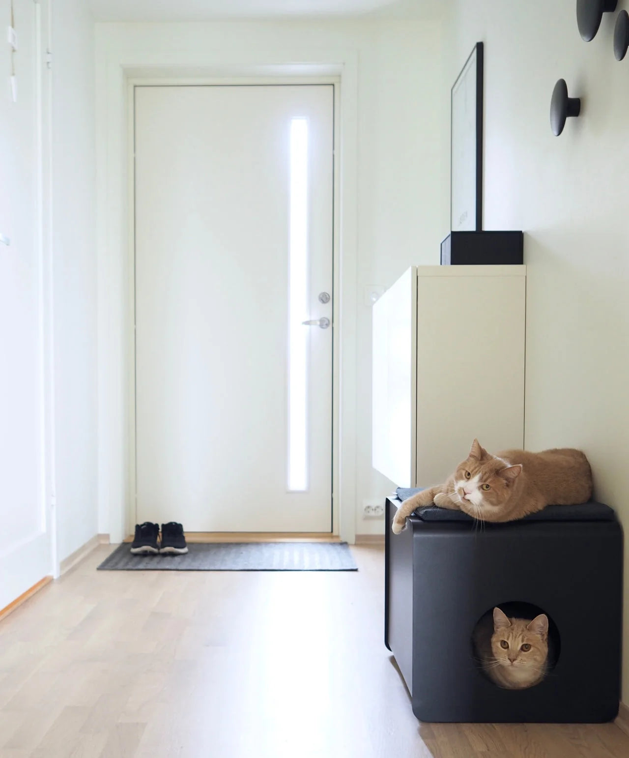 MiaCara Sito aluminium cat litter box - lifestyle shot