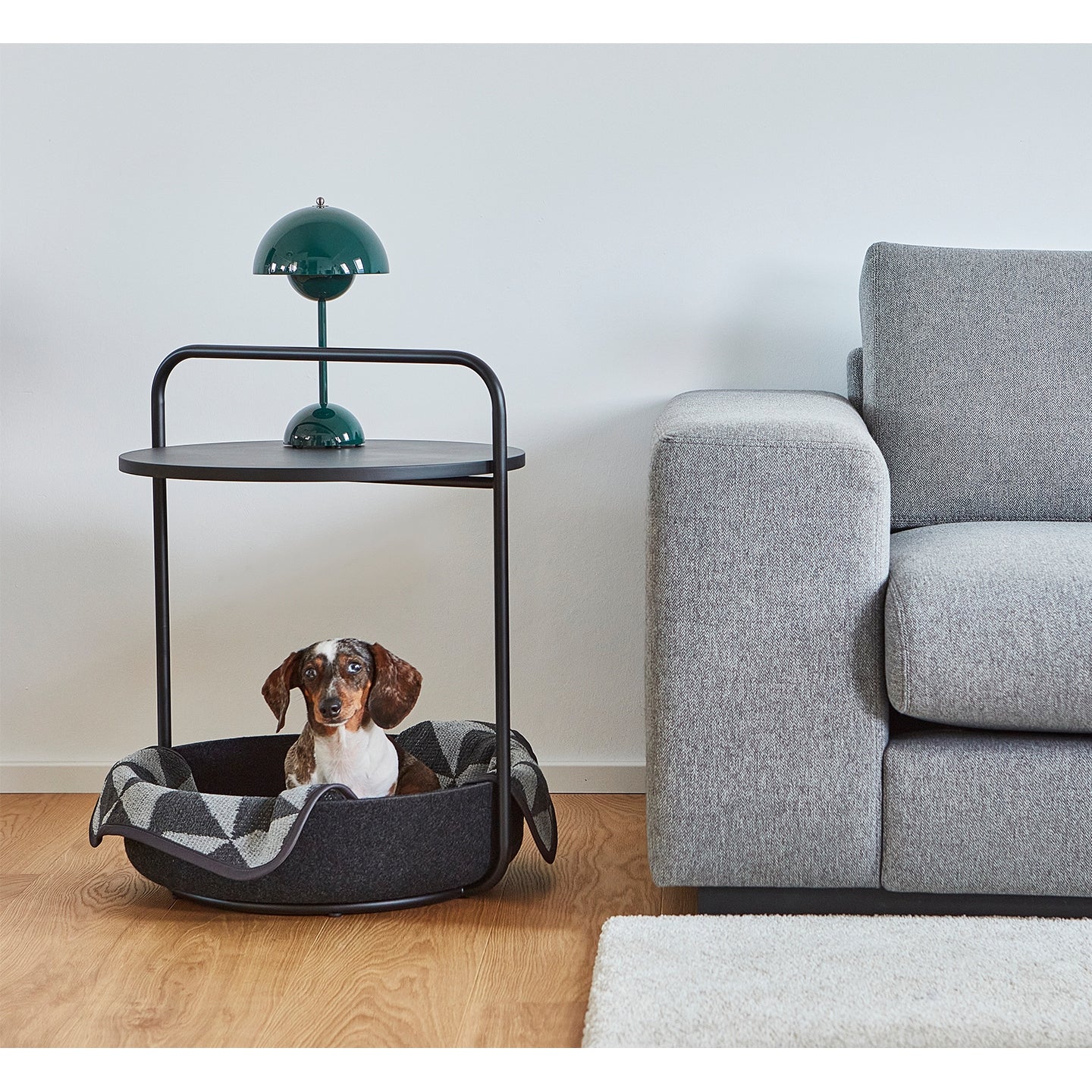 Minimalist Tavolino side table with dachshund in integrated pet bed, featuring German design and sustainable materials