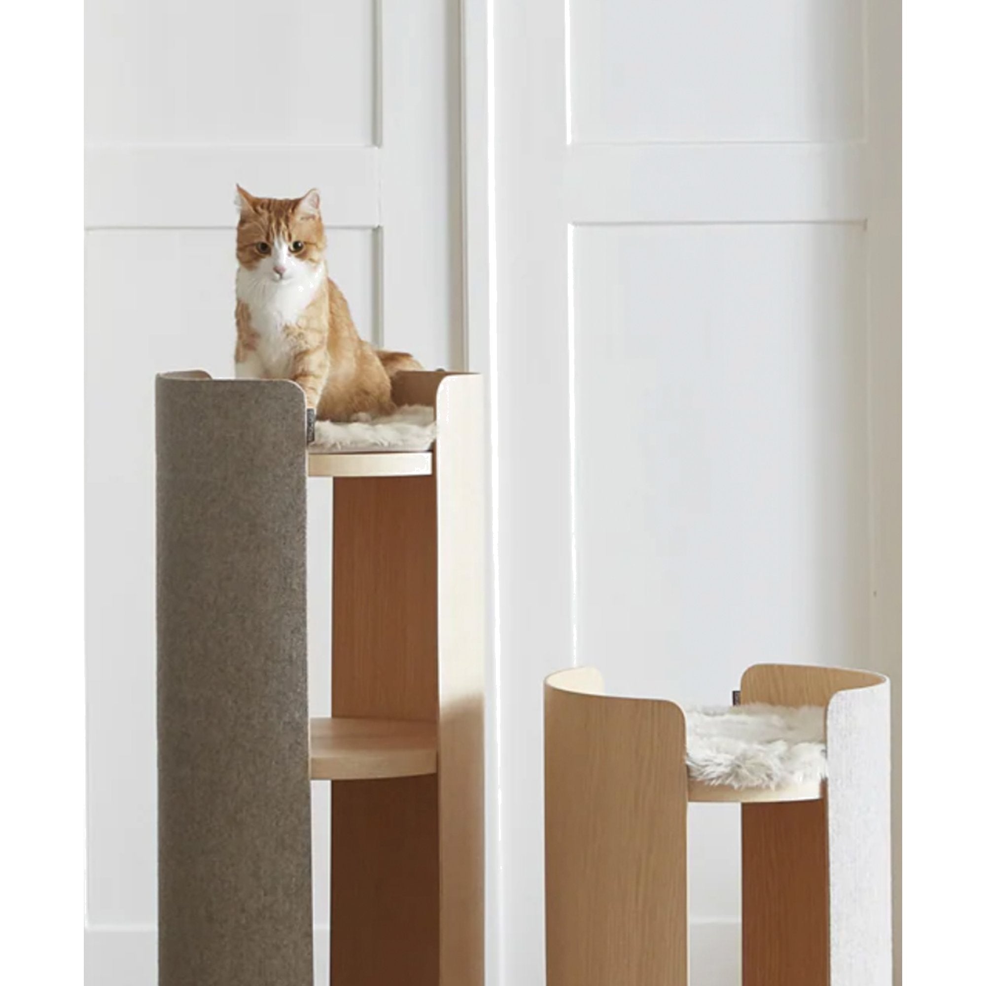 Orange tabby cat sitting on grey felt Torre Cushion cat tower with minimalist German design and sustainable materials