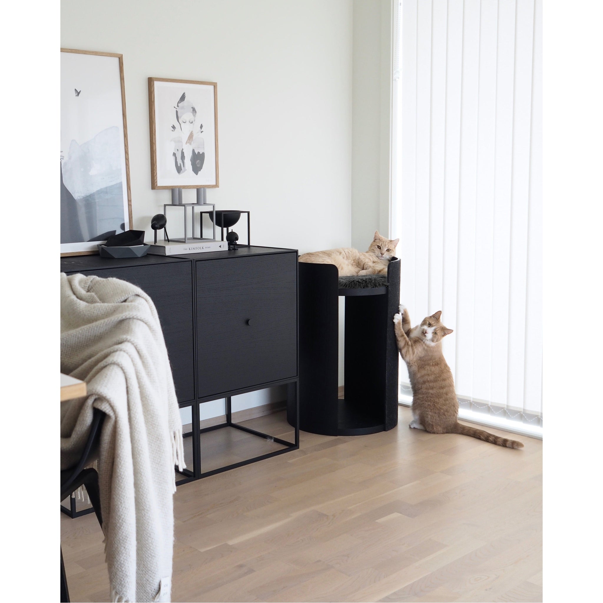 MiaCara Torre black designer cat tower with orange tabby cats in minimalist modern living room interior
