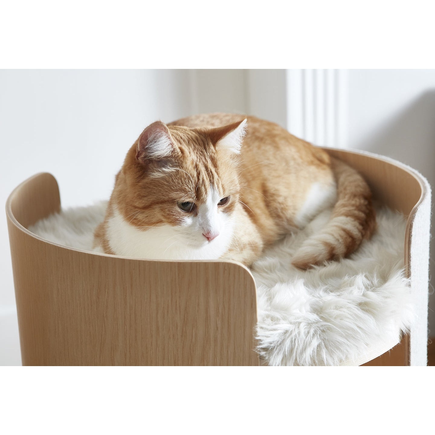 Orange tabby cat relaxing in minimalist Torre cat tower with white fleece, showcasing German design excellence
