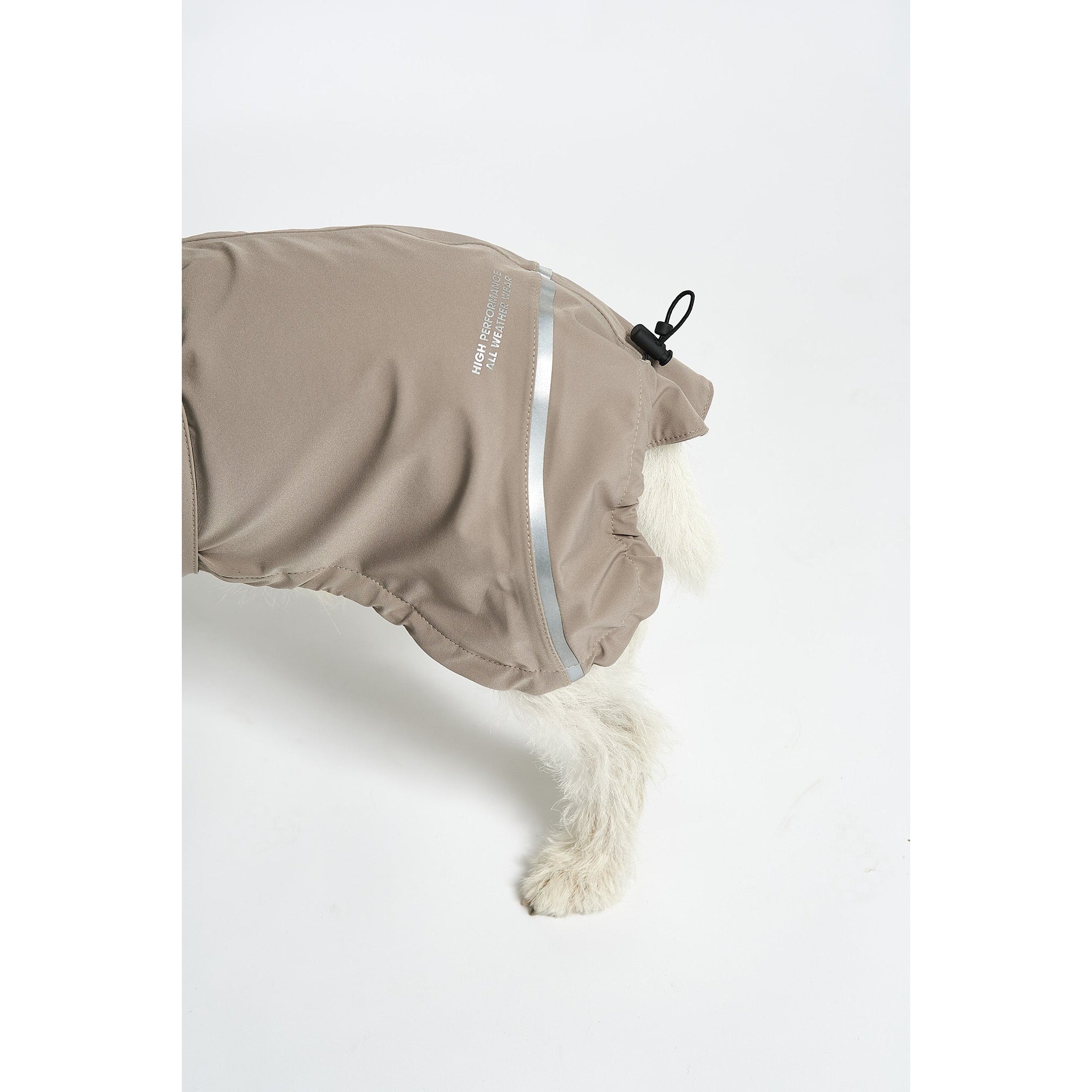 Small white dog wearing beige designer rain coat with reflective strips by MiaCara, German minimalist pet outerwear