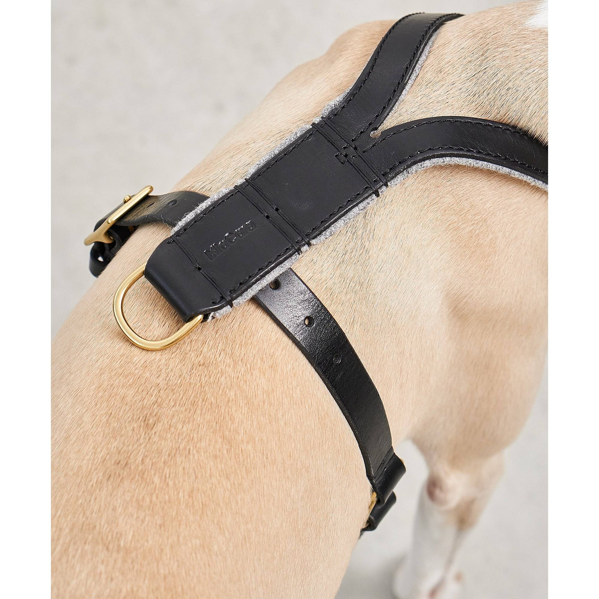 MiaCara Verona dog harness detail view - German designer sustainable construction