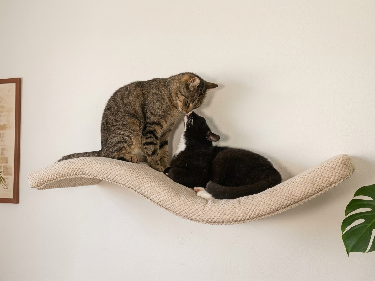 Two cats on a beige Cat's Atelier Floating Cat Wall Shelf The Wave