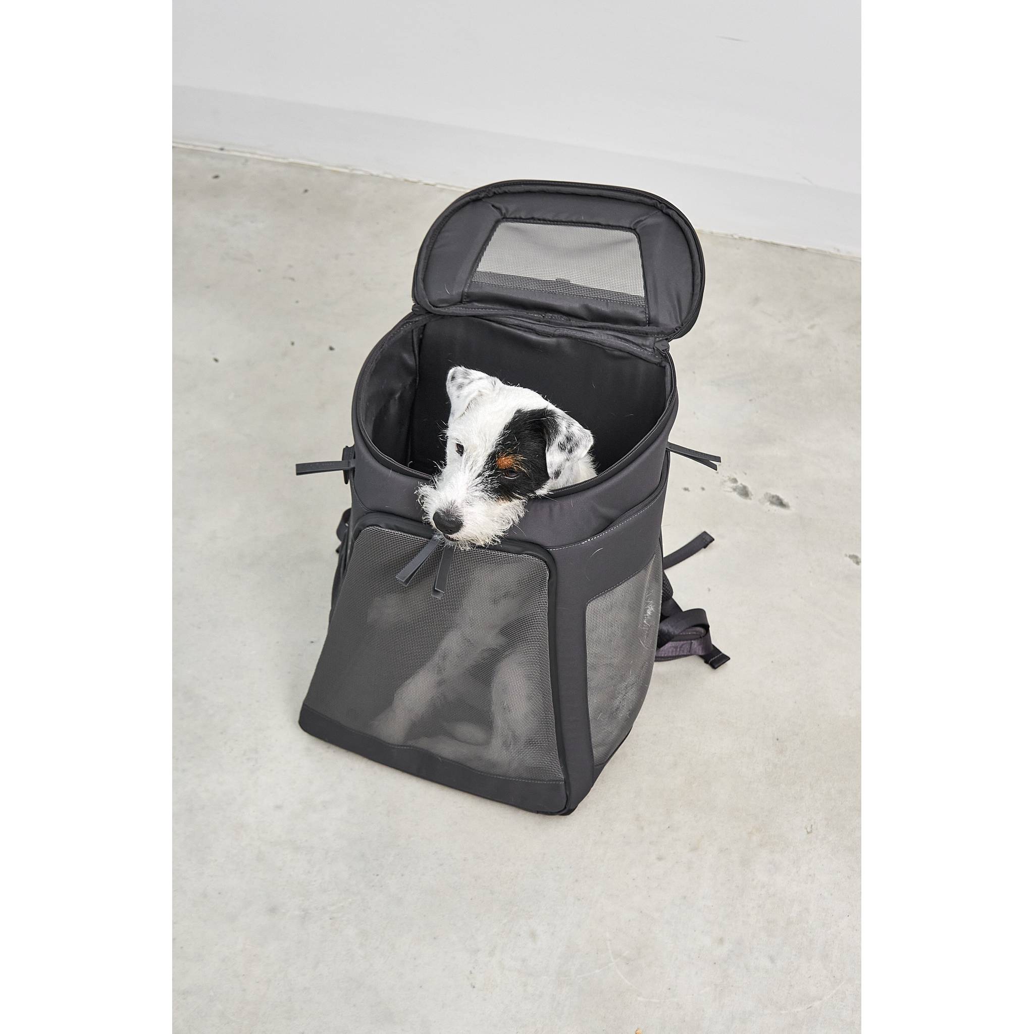 Small white and black dog sitting in open grey MiaCara Zaino designer dog backpack carrier on concrete floor
