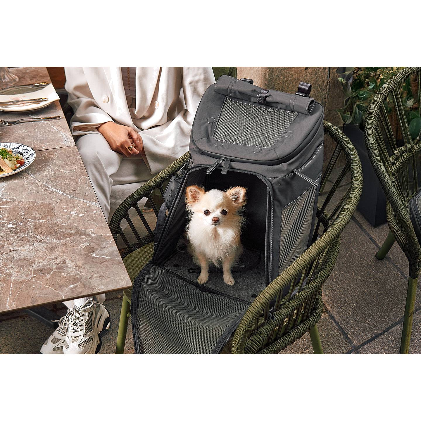 Small Chihuahua in grey MiaCara Zaino designer dog backpack at outdoor cafe table with person in white outfit