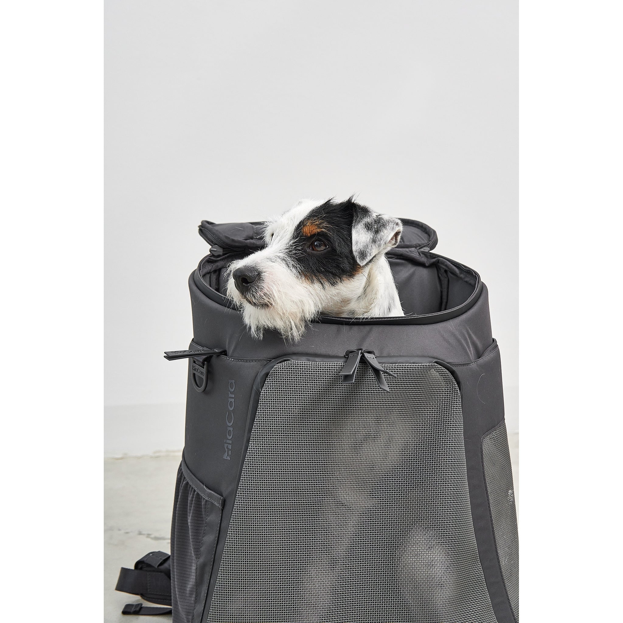 MiaCara Zaino designer dog backpack in charcoal grey with mesh panels, featuring small terrier - German pet carrier