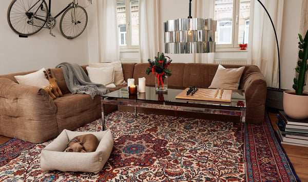 Winter Wellness: Creating Cosy Spaces for Your Dog's Health