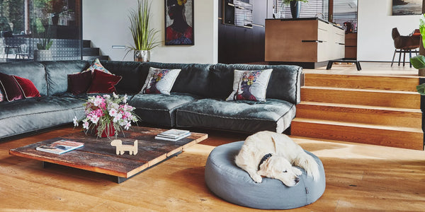MiaCara: Inside the German Design House Behind Our Pet Furniture