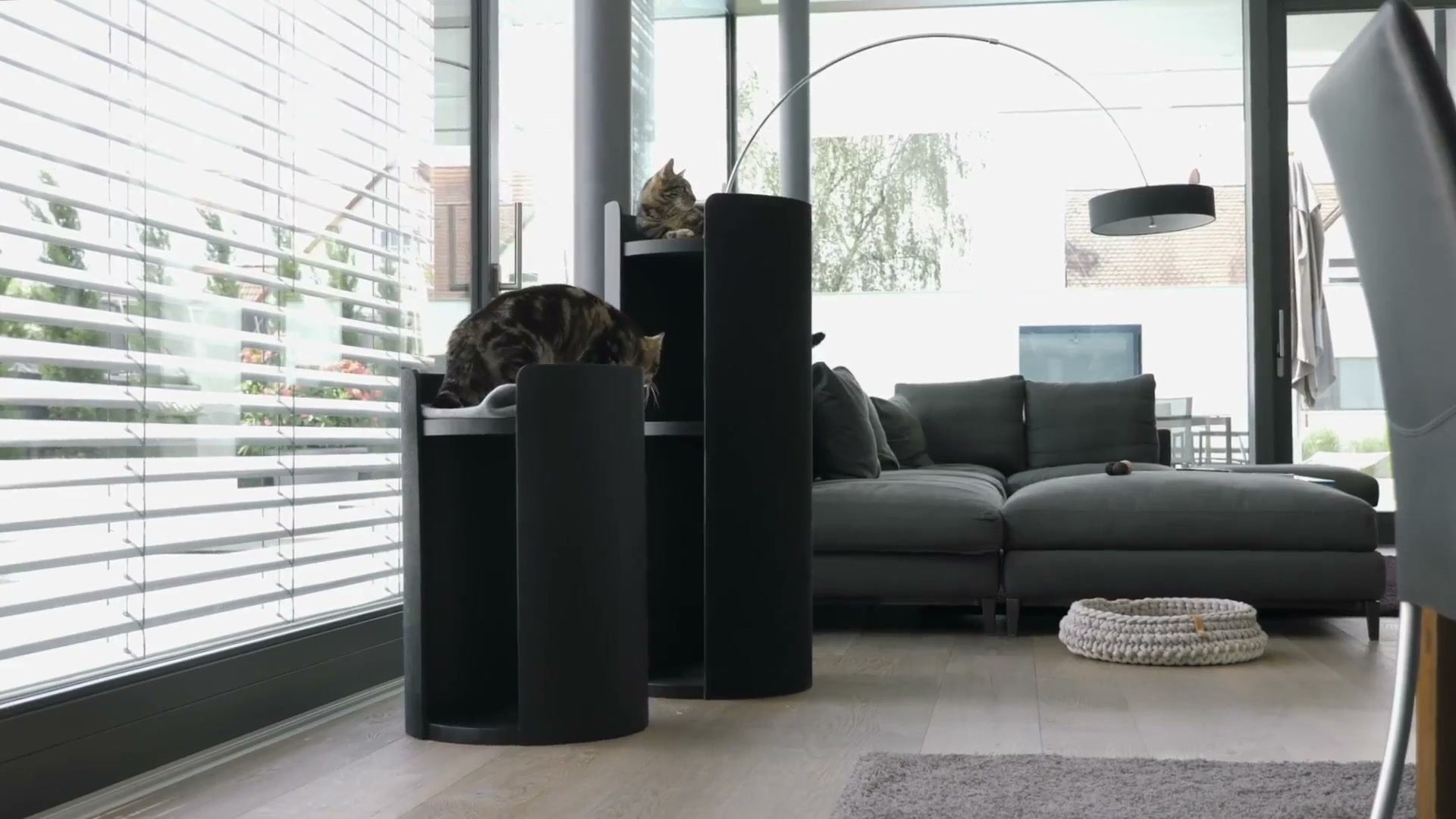 Cat Tower Placement: Interior Design Tips for Feline Furniture