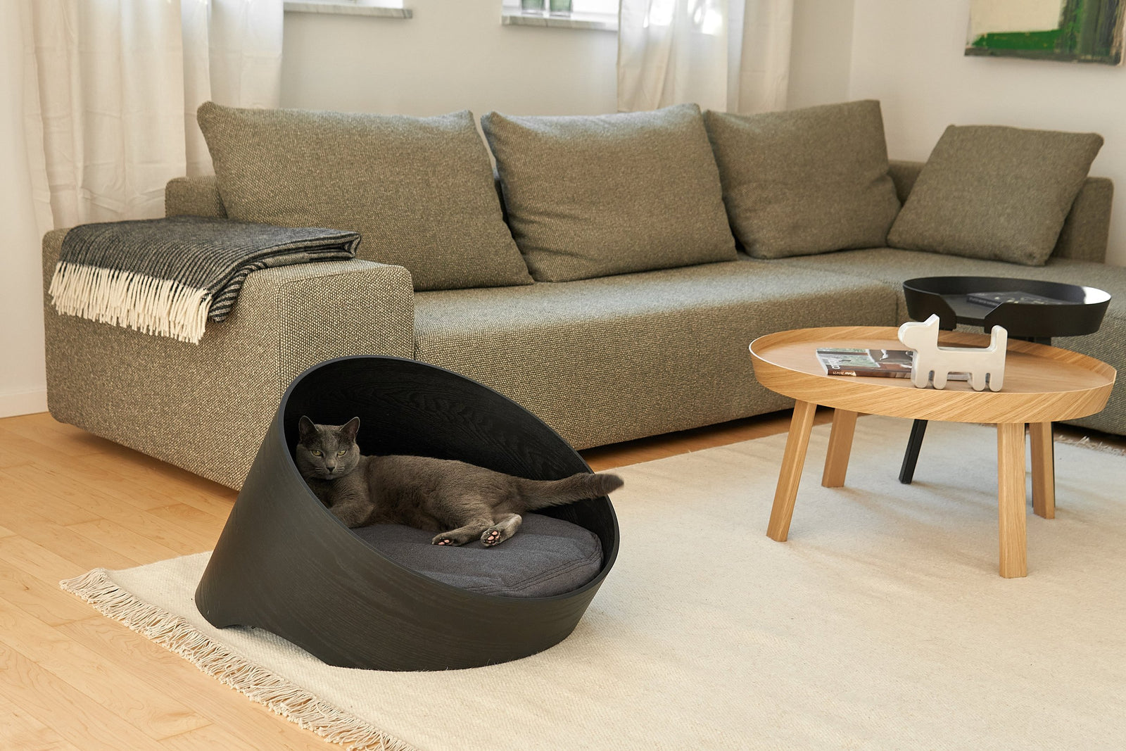 Cat Beds