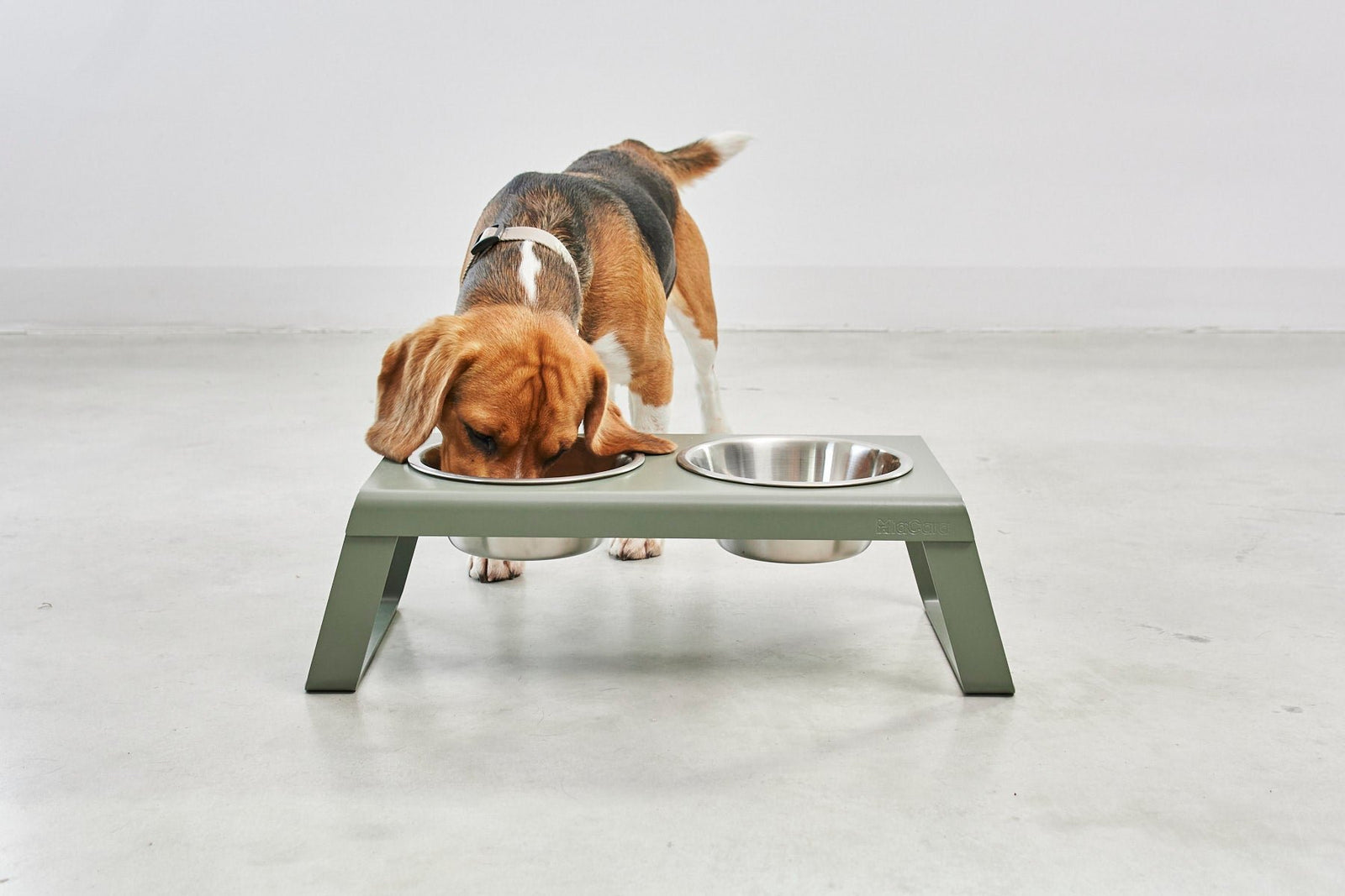 Dog Bowls & Feeders