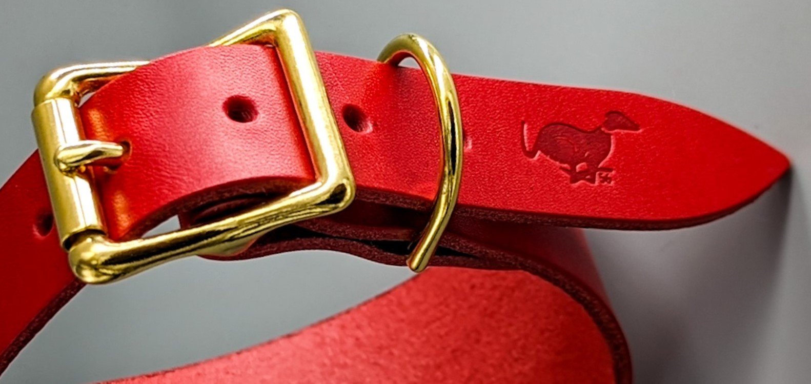 Dog Collars & Leads