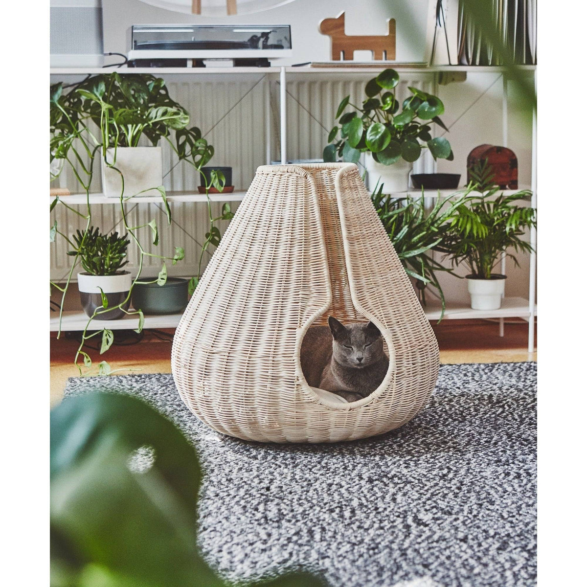 The woven MiaCara Perla cat cave with its teardrop form and circular opening, styled among houseplants in a bright room