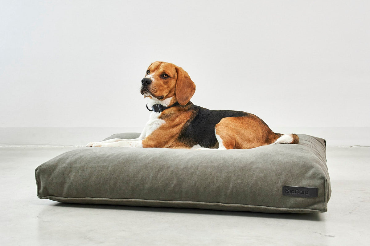 Dog lying on a MiaCara Comodo dog cushion with the cover fitted