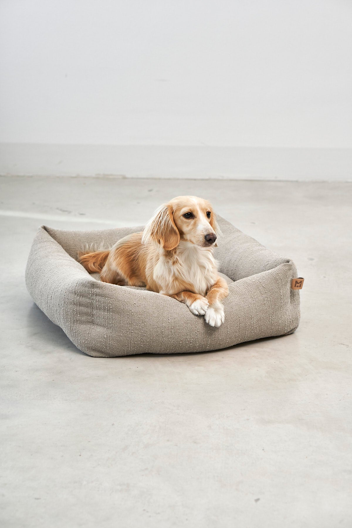 Small long-haired dog lying in the MiaCara Campo Piccolo dog bed in Greige
