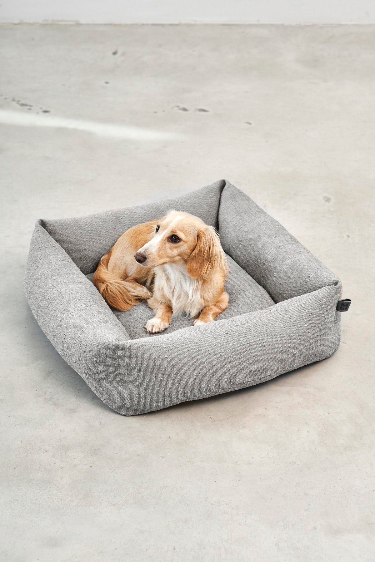 Small long-haired dog sitting in the MiaCara Campo Piccolo dog bed in Pebble