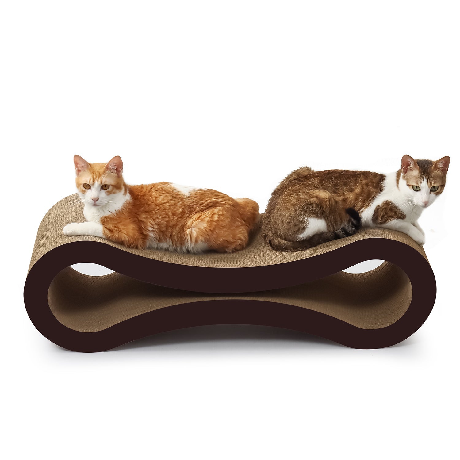 PetFocus ultimate cat scratcher lounge in walnut brown - eco-friendly UK-made cat furniture
