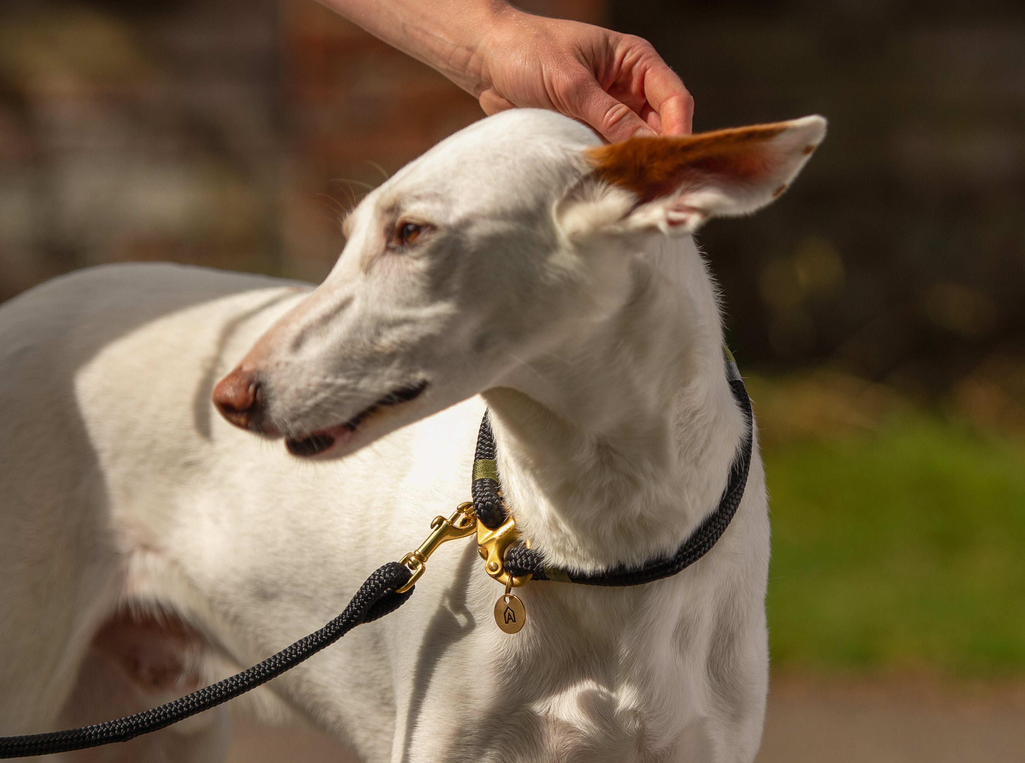 Close-up of Oonalfie Classic clip lead showing nautical whipping detail and brass hardware