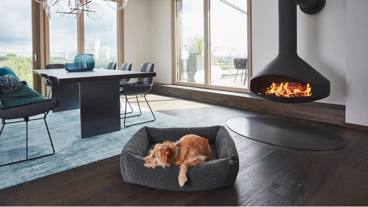 Hugo designer dog bed in modern interior - luxury pet furniture by MiaCara
