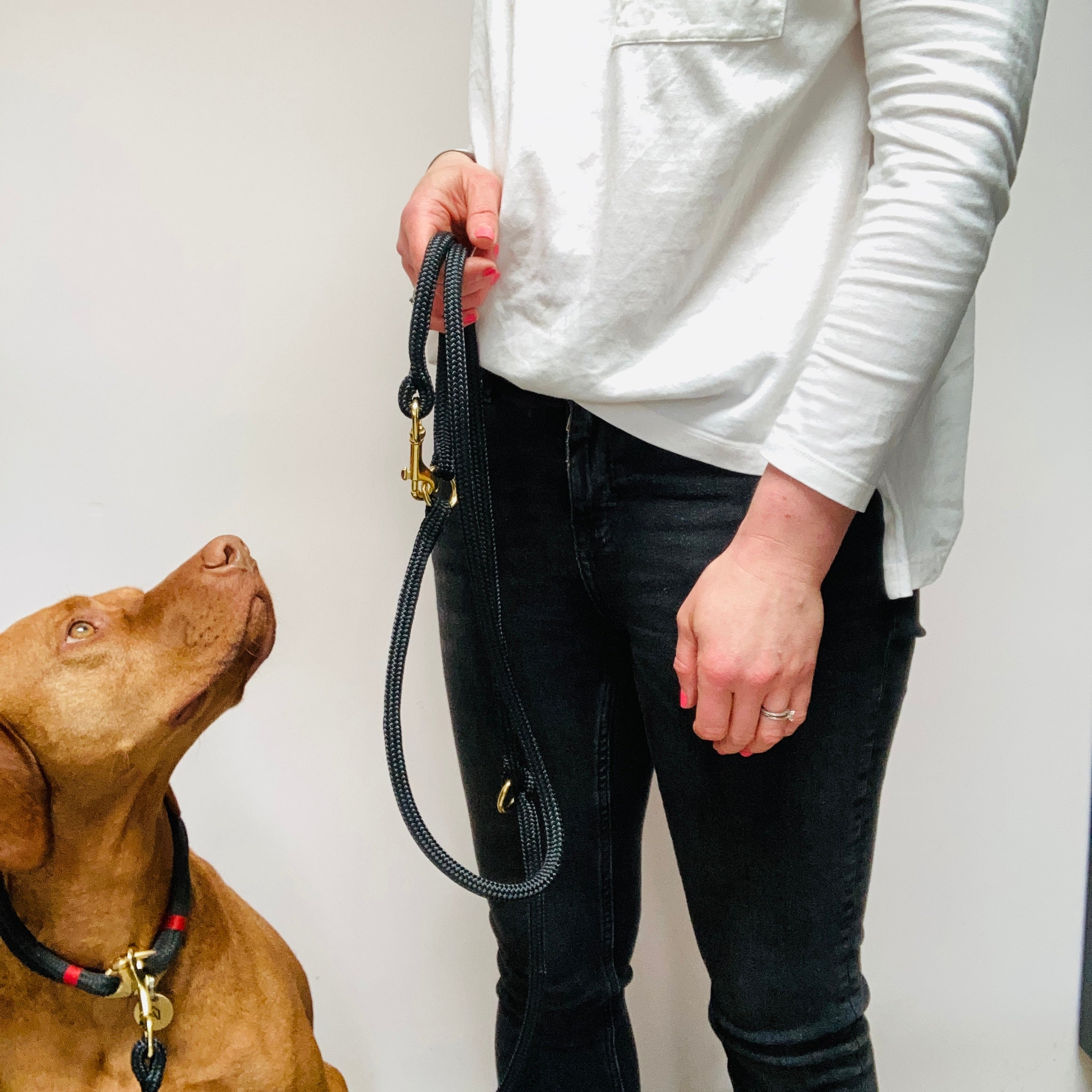 Multiway rope dog training lead by Oonalfie, handmade in Britain with solid brass hardware