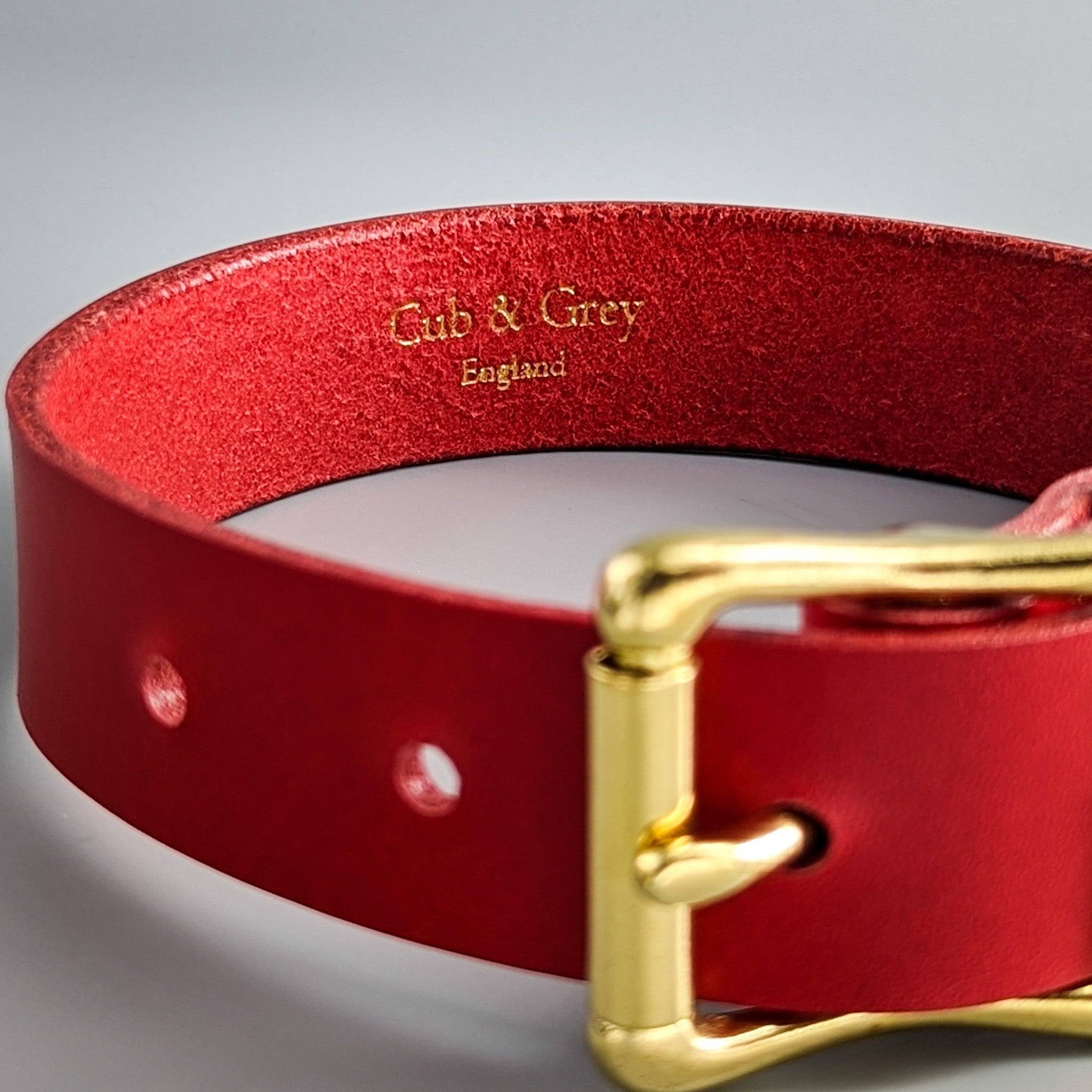 Red leather dog collar detail view featuring gold-embossed personalised branding and polished brass buckle