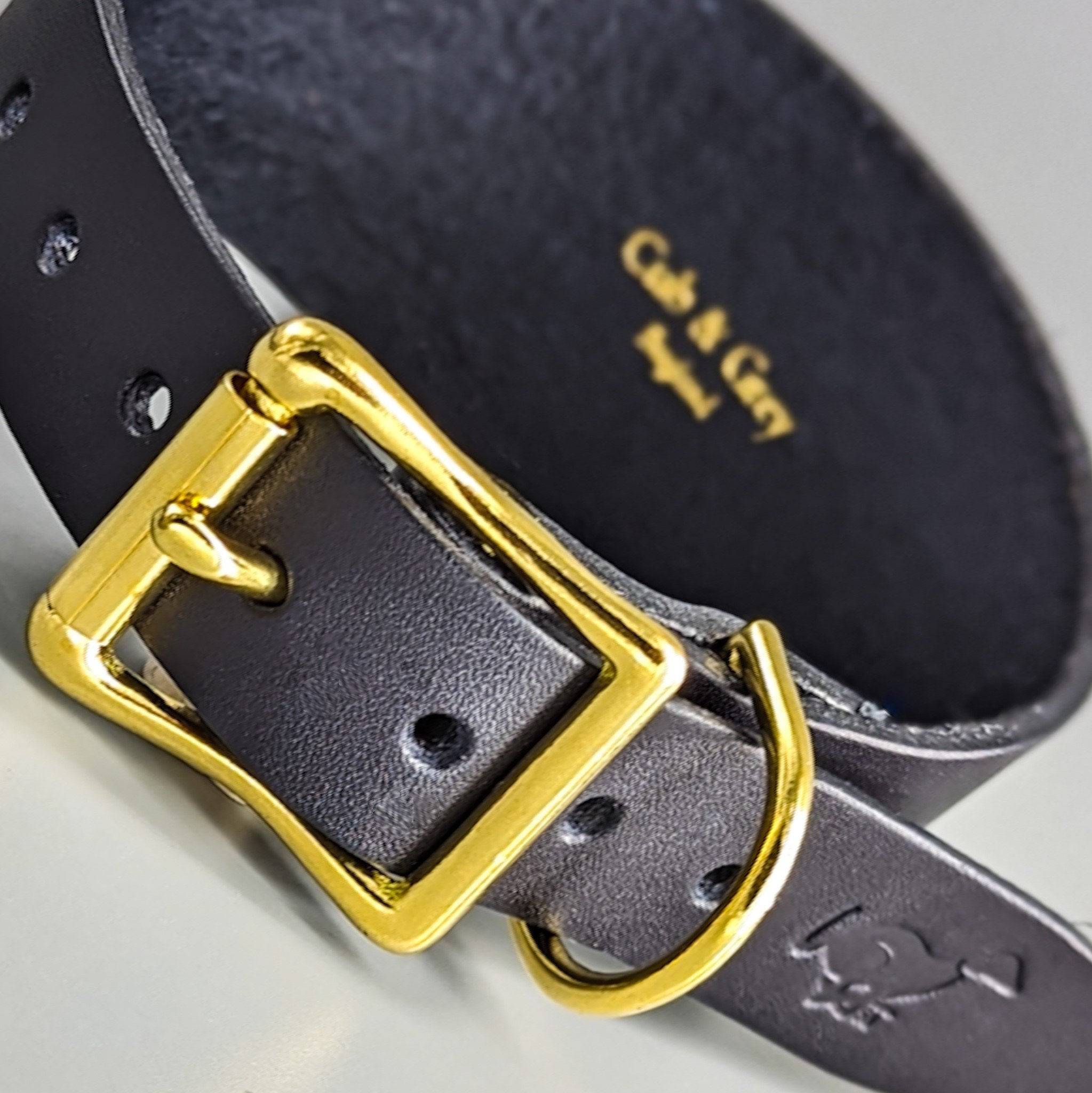 Black leather Luxury Hound Collar gold buckle D-ring, embossed paw prints K9 lettering premium texture details