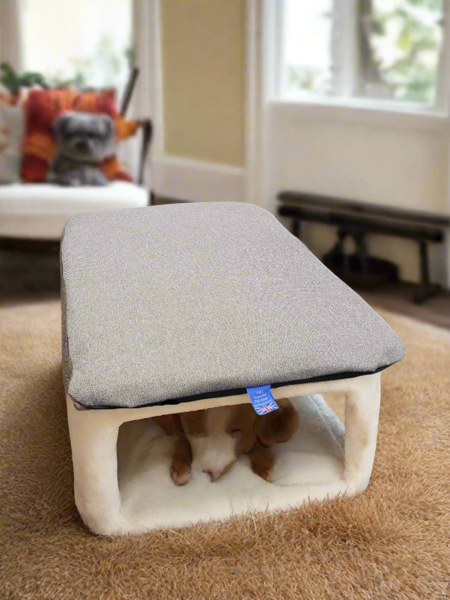 Cat sleeping in grey Orkney tweed pet bed with removable cover on living room carpet beside window