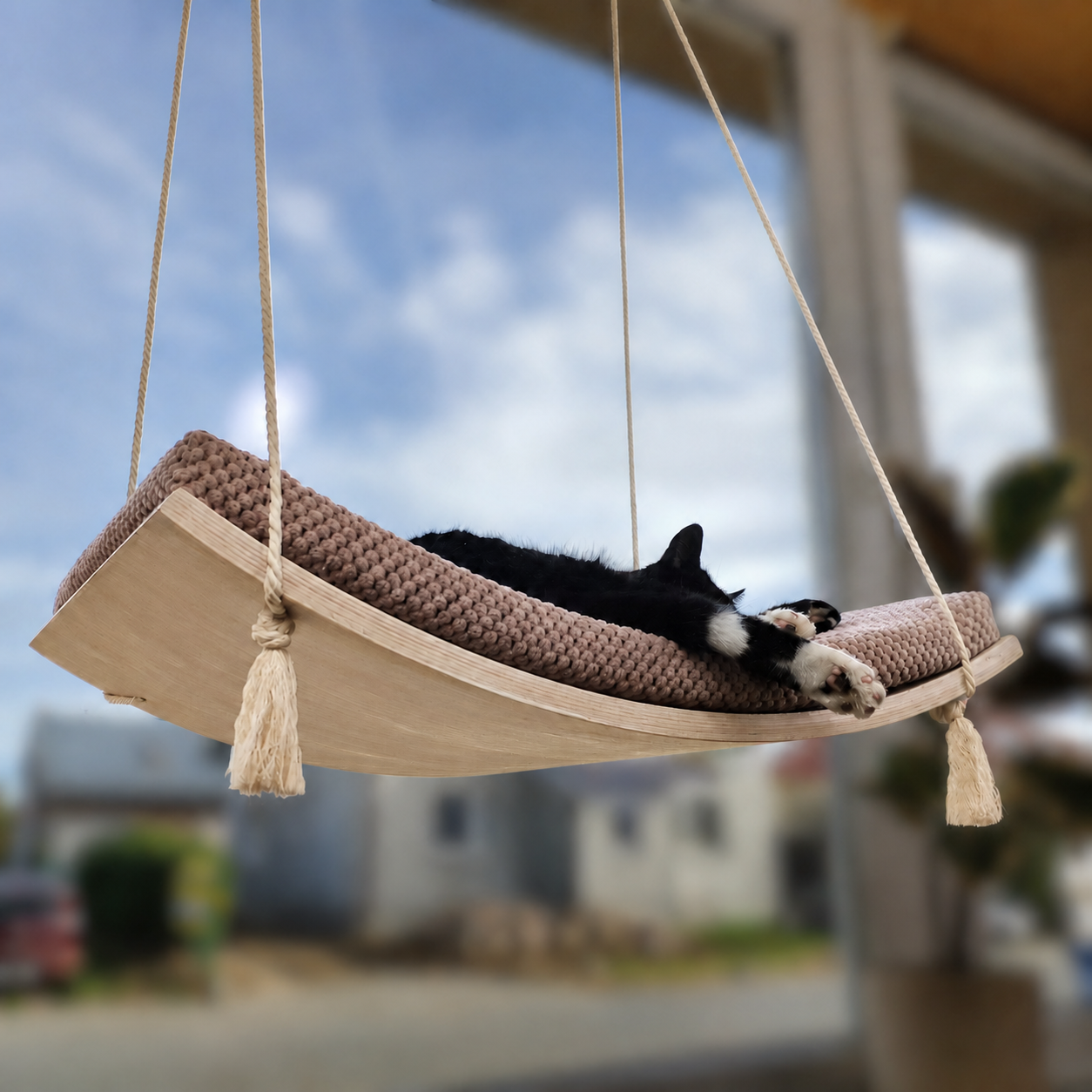 Cat resting on the Arcing View wooden cat window hammock, showing the curved beech plywood base and its laminated edge