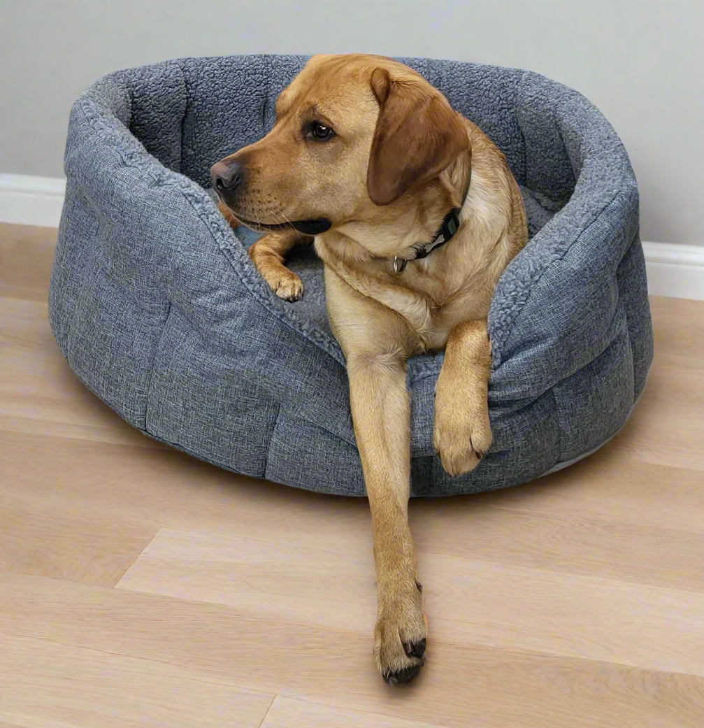 Golden Labrador dog relaxing in grey fleece-lined oval bolster bed on wooden floor showing comfort and durability