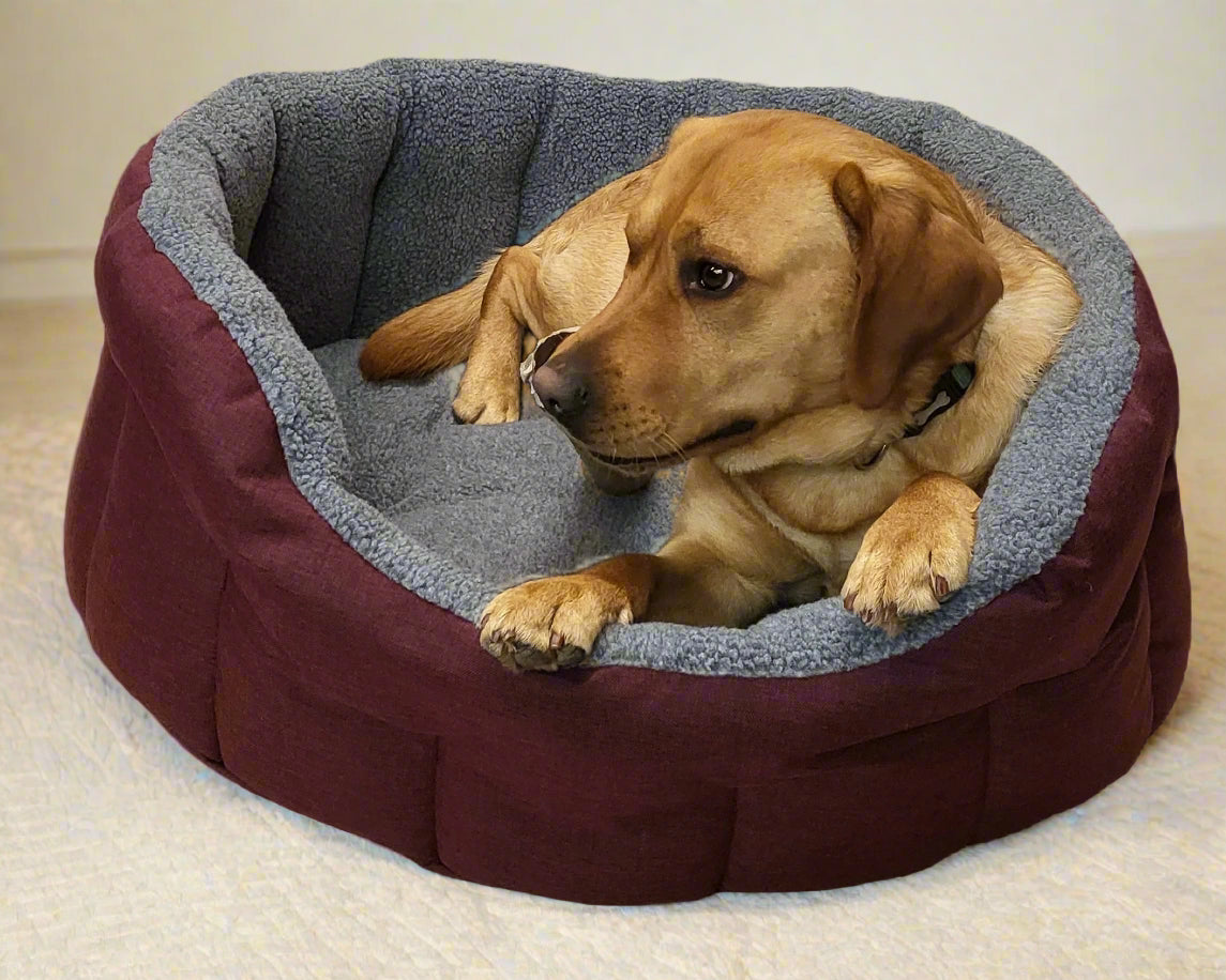 Golden Labrador resting in burgundy oval bolster dog bed with grey fleece lining and raised cushioned sides