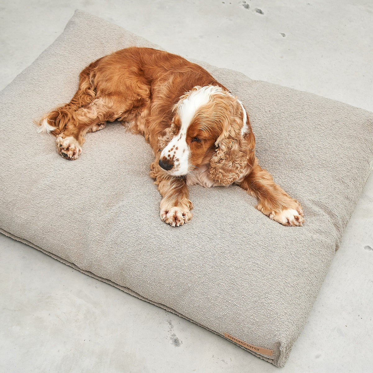 A spaniel resting on the MiaCara Mondo dog cushion in a light bouclé