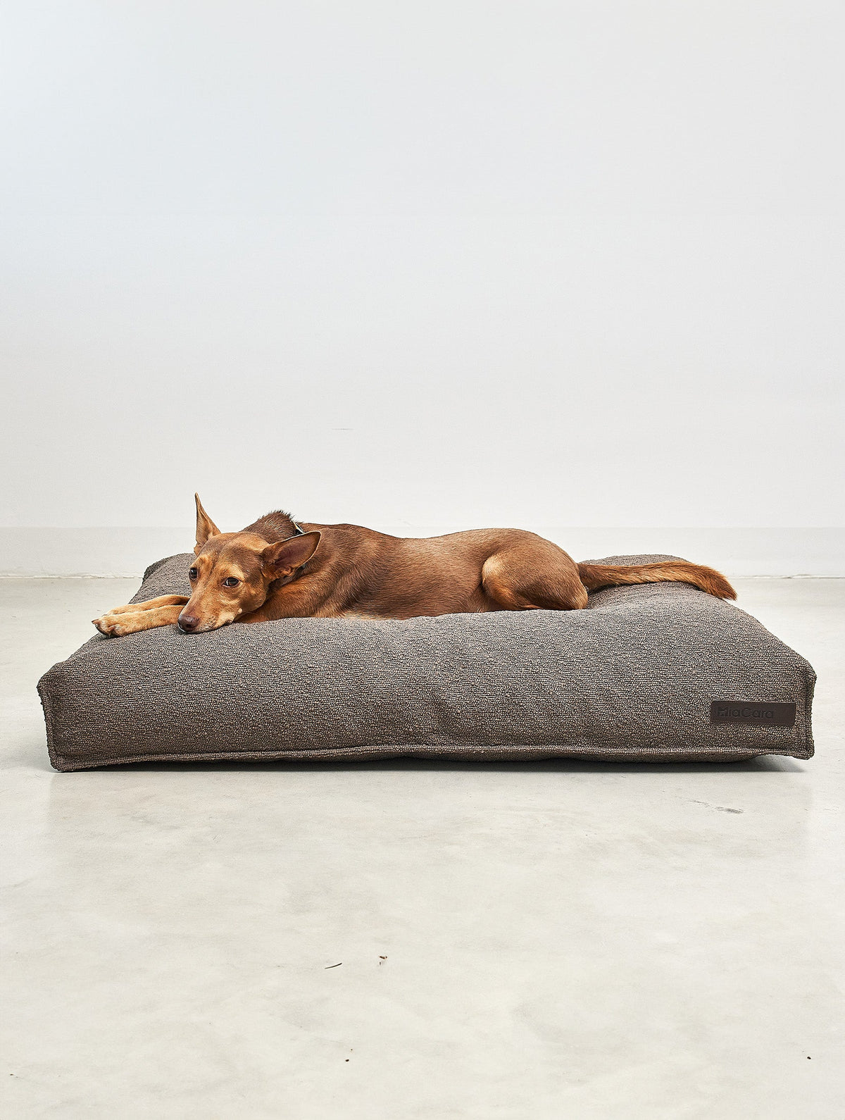 A dog stretched out on the MiaCara Mondo dog cushion, side view